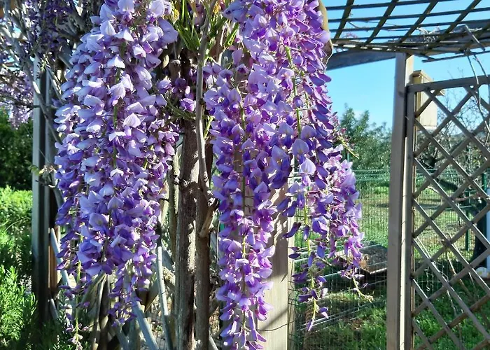 Entrecolinas B&B 알부페이라