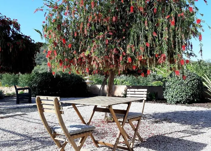 B&B Entrecolinas 알부페이라