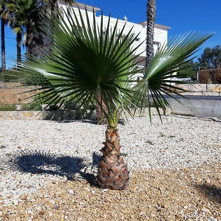 Nocleg ze śniadaniem Entrecolinas Albufeira