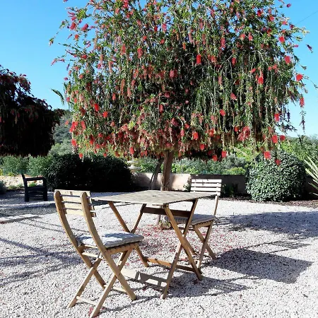 Nocleg ze śniadaniem Entrecolinas Albufeira