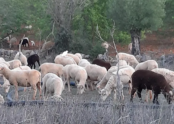 Entrecolinas ベッド・アンド・ブレックファスト 4*