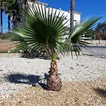Panzió Entrecolinas Albufeira