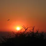 Bed & Breakfast Entrecolinas 4*
