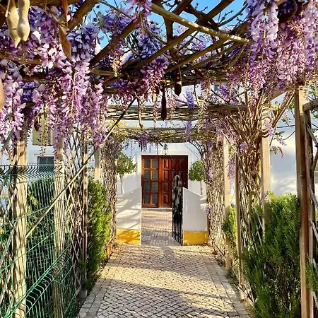 住宿加早餐酒店 Entrecolinas 阿尔布费拉