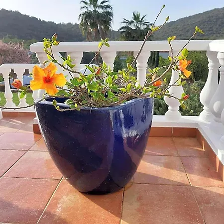 Entrecolinas Couette-café Albufeira