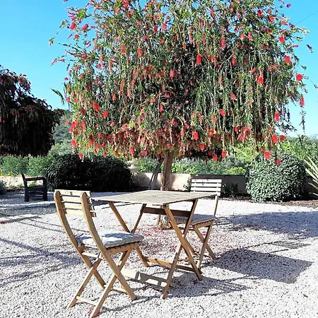 Bed & Breakfast Entrecolinas Albufeira