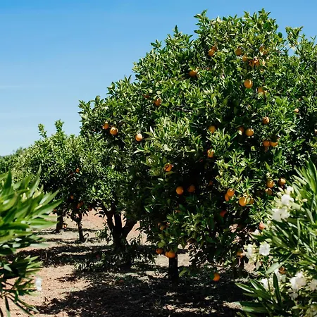 Entrecolinas 4* אלבופיירה