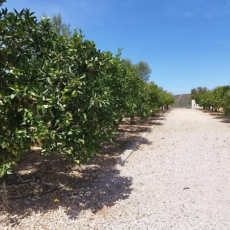 Entrecolinas לינה וארוחת בוקר אלבופיירה