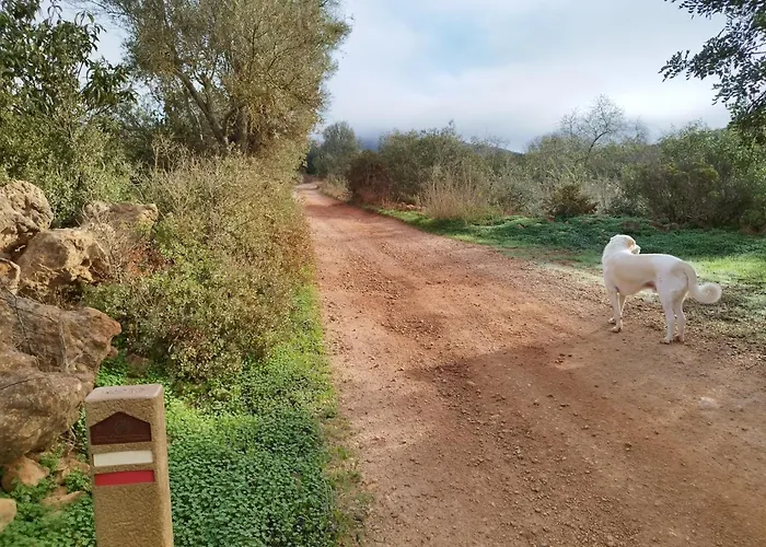 Entrecolinas לינה וארוחת בוקר