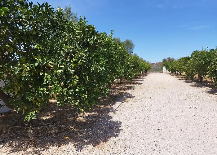 Entrecolinas לינה וארוחת בוקר אלבופיירה