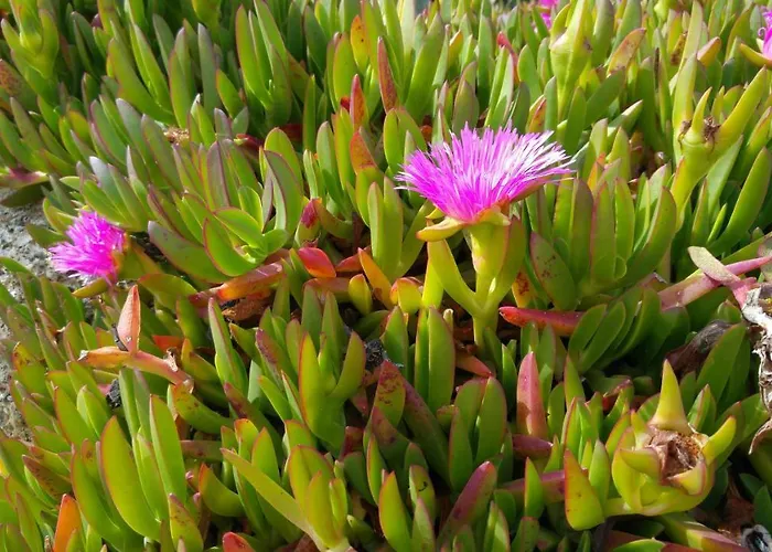 Entrecolinas Bed & Breakfast Albufeira